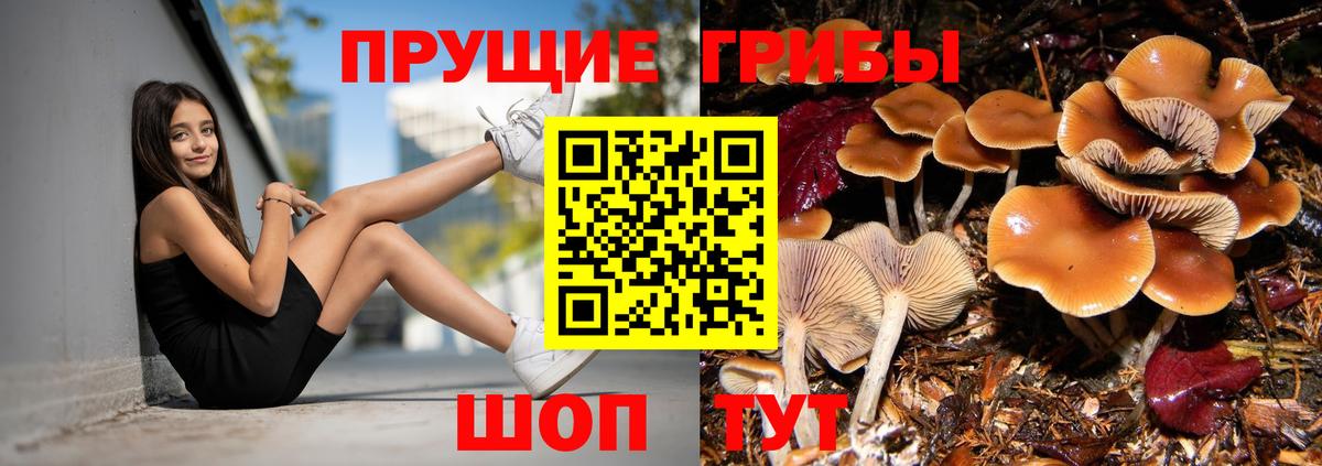 Галлюциногенные грибы мицелий Карпинск